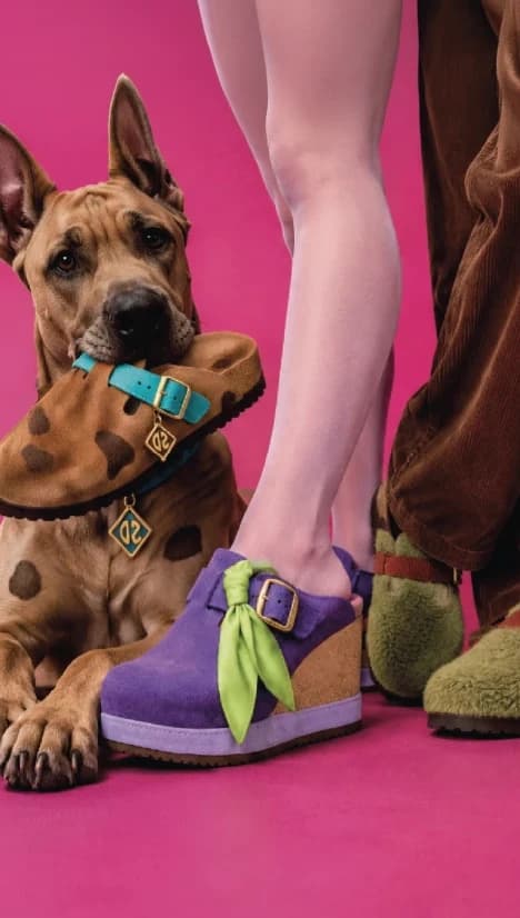 Birkenstock × Scooby-Doo clogs